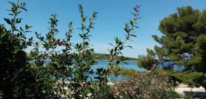 Srima apartments 20 meters from the beach