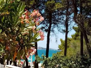 Srima apartments 20 meters from the beach