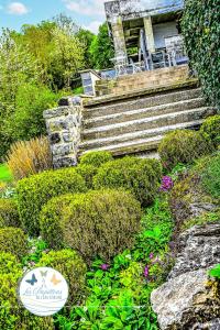 Les Papillons de lEau dHeure - charmant gîte près des lacs