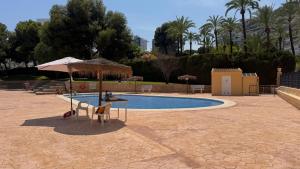 Club del Mar San Juan Alicante By ElConserje