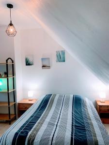 Maisons de vacances La Presquilienne : photos des chambres