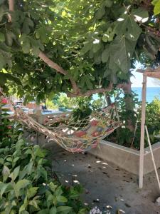 Sinop Barış Pansiyon