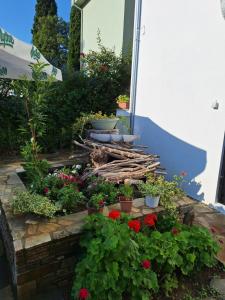 AMMOS & ASTERIAS FAMILY APARTMENTS