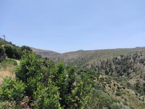 Accommodation in Lithi