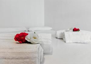 lnd 3- 2 Camere con Balcone, Ascensore e Parcheggio