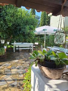 AMMOS & ASTERIAS FAMILY APARTMENTS