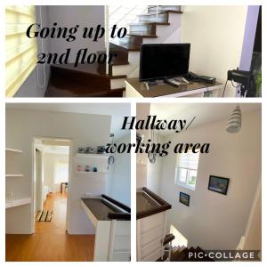 Townhouse Pastel Moss Green 0814 corner unit