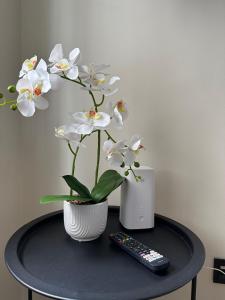 Marijas Two-Room Apartment