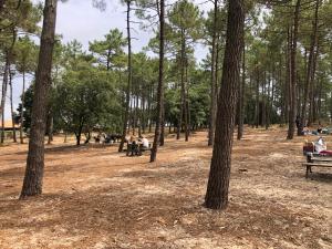 Le Chalet de PiqueyRote