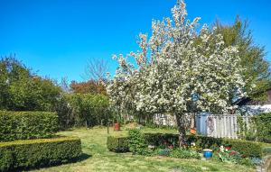 2 Bedroom Amazing Home In Hammenhög