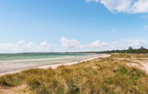 Amazing Home In Höllviken With Wifi