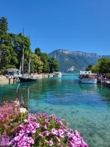 Appartements Lac & Nest : photos des chambres