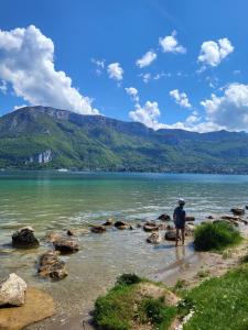 Appartements Lac & Nest : photos des chambres