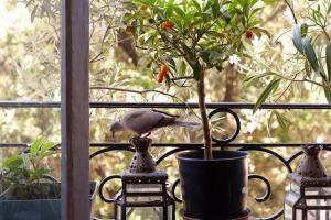 Chambres Dhôtes Chez Marie