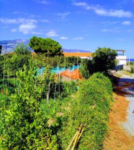 Agriturismo Aiolia al mare