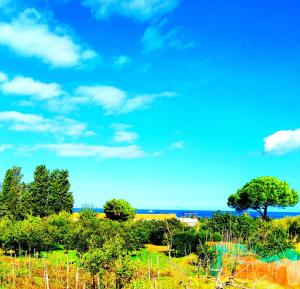 Agriturismo Aiolia al mare