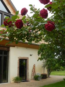 Appartements Gite autonome, La grange a foin, piscine ! : photos des chambres