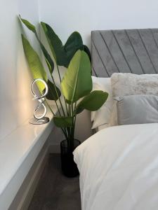 #14 Birmingham City Centre Loft 1BR for 3 Guests