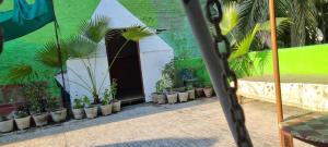 Fr ferreira yoga and naturopathy institute