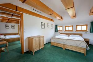 One-Bedroom Premium Apartment room in Hotel Mlýn