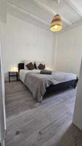 Appartements Entre vignes et Canal du Midi Appart 6 pers renove : Appartement 2 Chambres