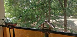 Erzsébet Vendégház