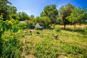 B&B / Chambres d'hotes Chambre d-Hotes - B&B La Moneze Basse : photos des chambres