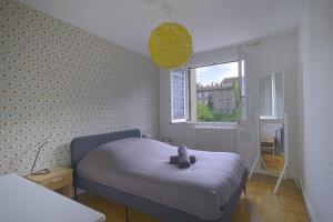 Appartements Appartement de caractere Central Cosy & Calme : photos des chambres