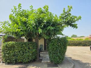 Escapade en Camargue Climatisé Terrasse Calme