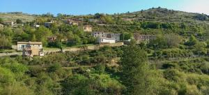 Maisons de vacances Charmante maison avec vue sur la montagne a Albertacce : photos des chambres