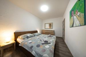 Apartmán s wellnes