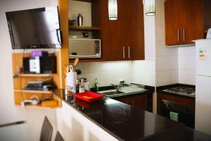 HOM I Duplex 2D2B Valle Nevado Cerca de las Pistas