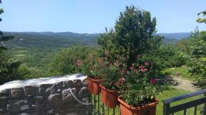Apartment Pud Oreh 