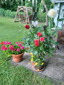 Aittamajotus casinonsaari