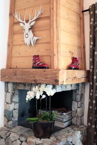 Superbe Appartement Deux Alpes Cosy et chaleureux 6 personnes