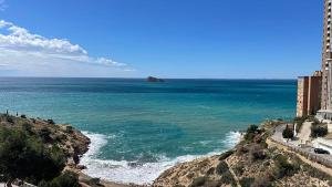 Observador de delfines