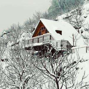 WoodVilla Cottages and Camps
