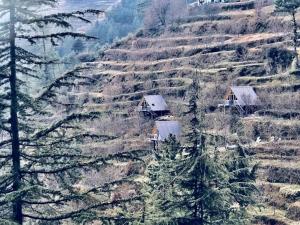 WoodVilla Cottages and Camps