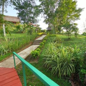 Flower of Life Ayahuasca Healing Center