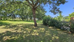 Ferienhaus Sofia Adria