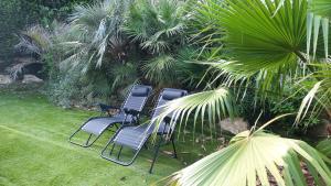 Le Phoenix de la Palmeraie