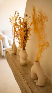 NEW Appt Bohème - 100m2 6 pers avec terrasse