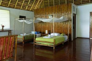 Flower of Life Ayahuasca Healing Center