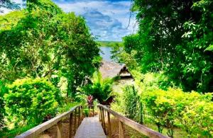 Flower of Life Ayahuasca Healing Center