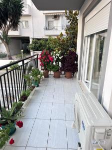 Sunflower Apartment