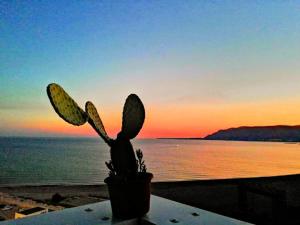 Appartamento Il Gabbiano Balestrate