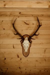 Chalets Le chalet de Nicolas - Your Nature Exclusive Retreat ! : photos des chambres