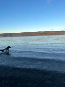 The Wee Shop, Stylish Two Bed Flat in Inverkip Village