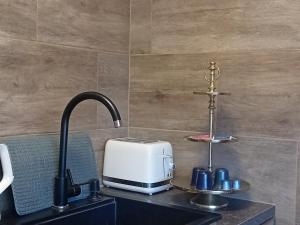 Appartements Superbe T1 - 10 min centre : photos des chambres