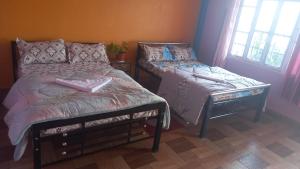 Ramailo Resturant and Homestay